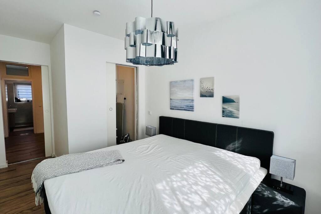 Designer 3 With Terrace & Parking Apartment Berlin